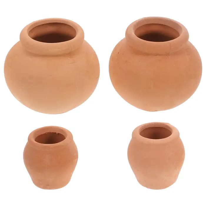 Pot de fleurs succulentes