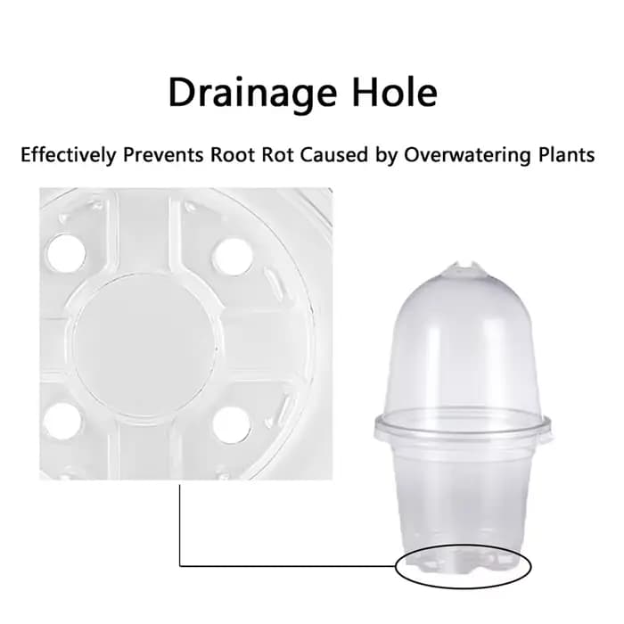 Pots transparents pour pépinière de plantes en PET avec couvercles