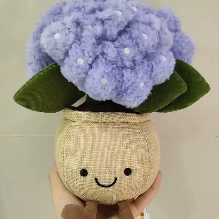Hydrangea printanier Jca en pot