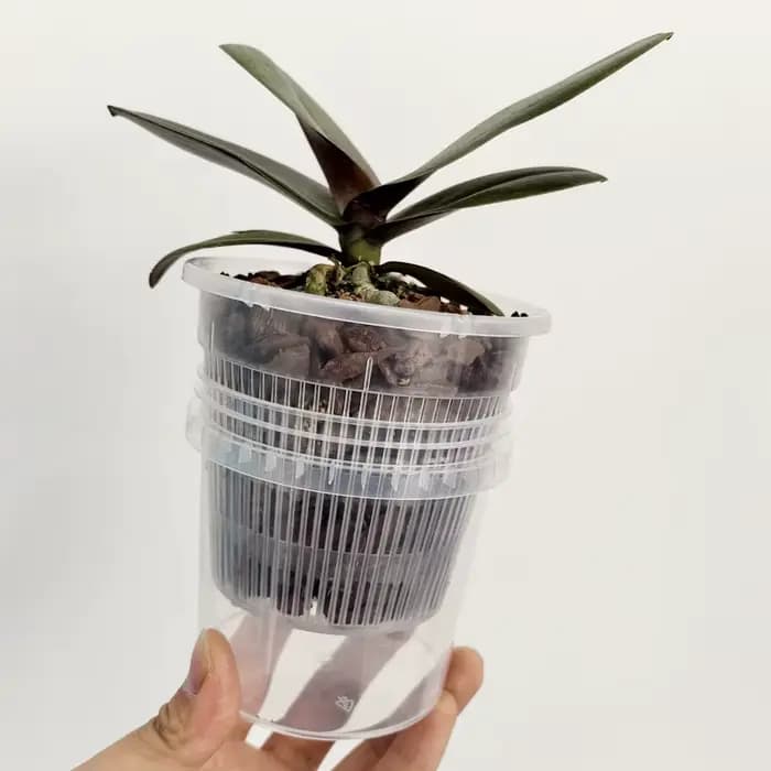 Pot de fleurs auto-arrosant à double couche pour plantes
