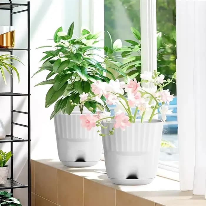 Pots de fleurs 6 pouces