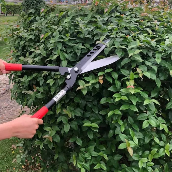 Sécateur professionnel pour haies