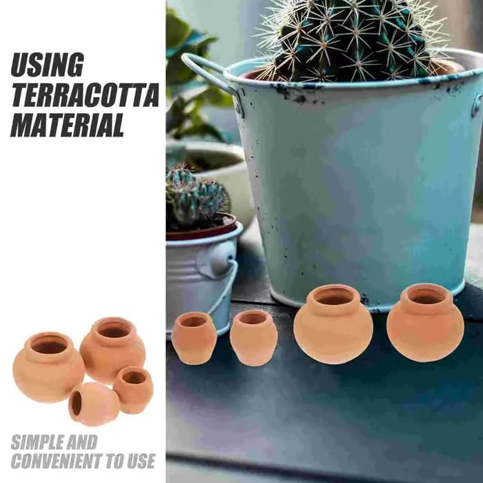 Pot de fleurs succulentes