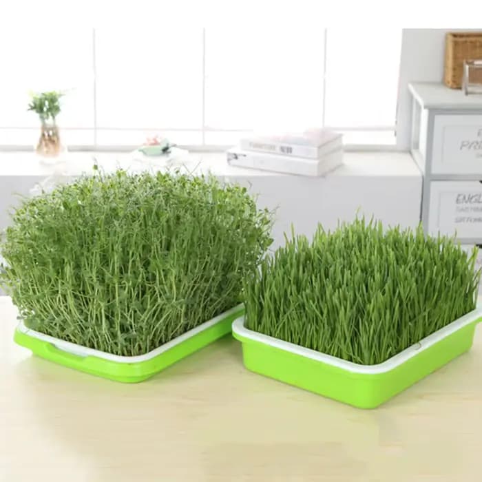 Plateau de culture hydroponique en papier pour pépinière