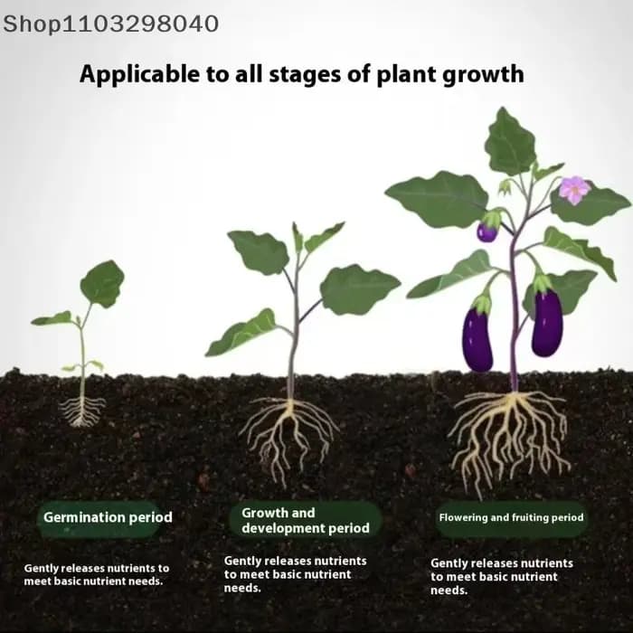 Bâtonnets alimentaires pour plantes à libération lente – Engrais universel