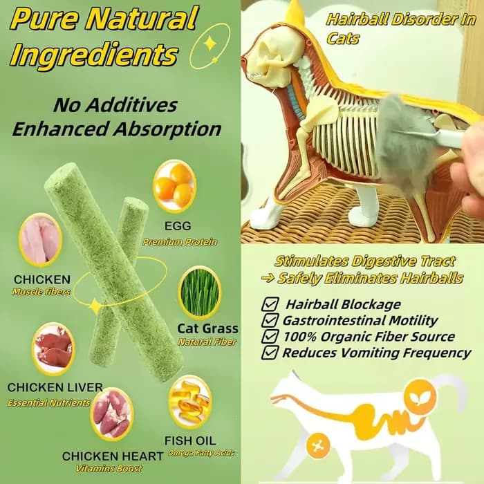 Lot de 60 bâtonnets de herbe naturelle pour chat, friandises pour l'élimination des boules de poils, jouets à mâcher au poulet et à la catnip pour le nettoyage des dents, friandises pour chatons