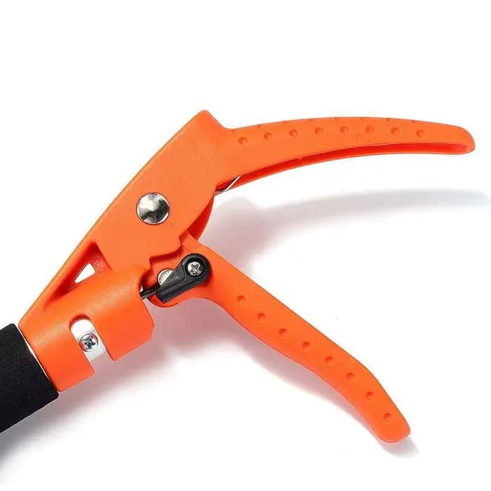Sécateur de poteau télescopique pour la taille des branches hautes