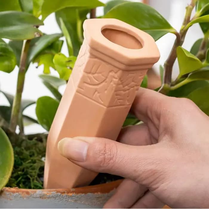 Pointes d'Arrosage existent pour Plantes en Terre Cuite
