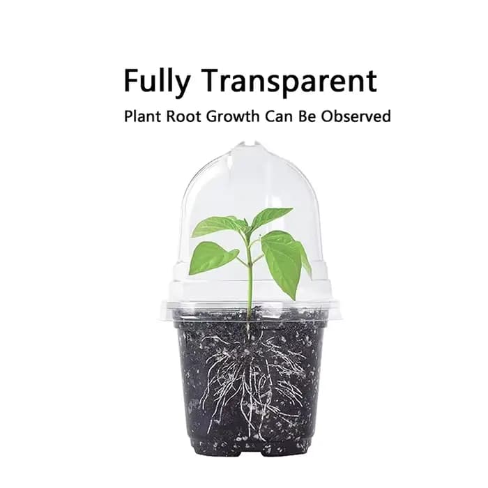 Pots transparents pour pépinière de plantes en PET avec couvercles