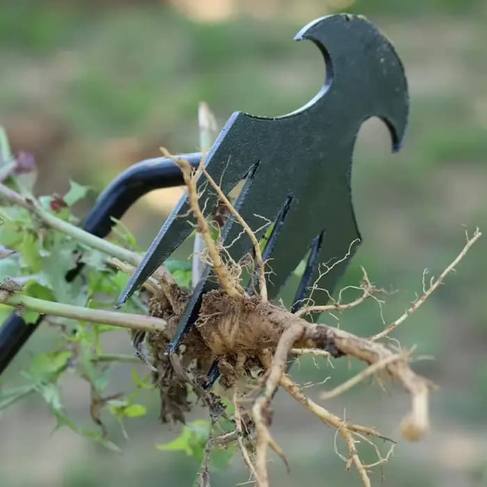 Désherbeur manuel multifonctionnel à 4 dents pour jardin