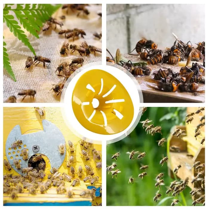 Pièges à frelons 10 pièces, piège à abeilles en forme de fleur, piège à mouches réutilisable, piège