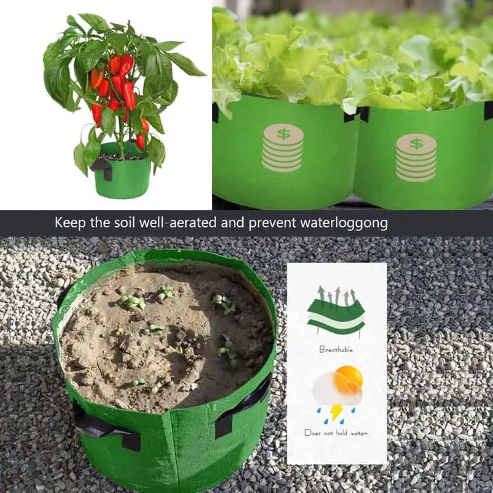 Sacs de Culture en Tissu Vert pour Jardin, 1-30 Gallons, avec Foy, pour Plantes de Cour, Légumes, Fl