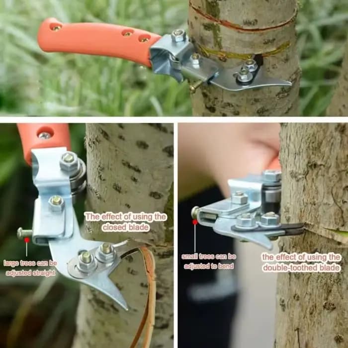 Coupe-annulation réglable en acier inoxydable pour arbres fruitiers, outil de taille et de débroussaillage, coupe-annulation de l'écorce pour jardinage