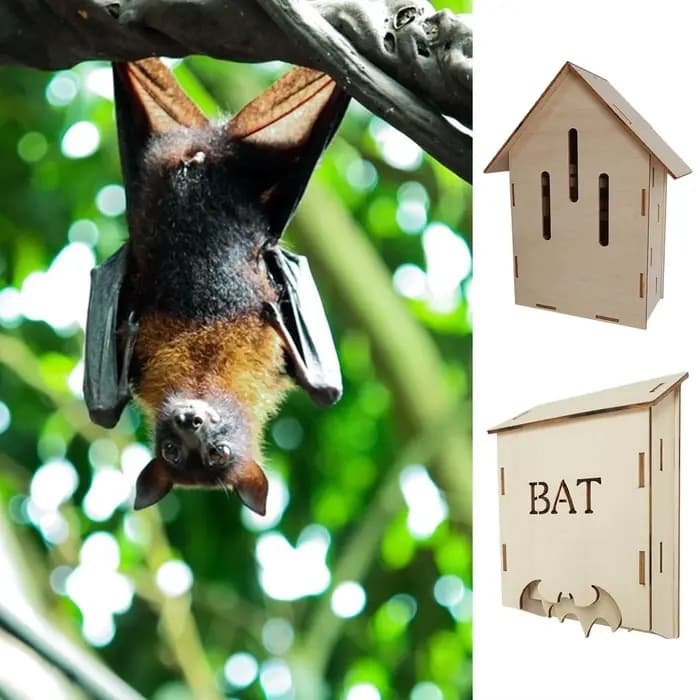 Nichoir en bois pour chauves-souris d'extérieur