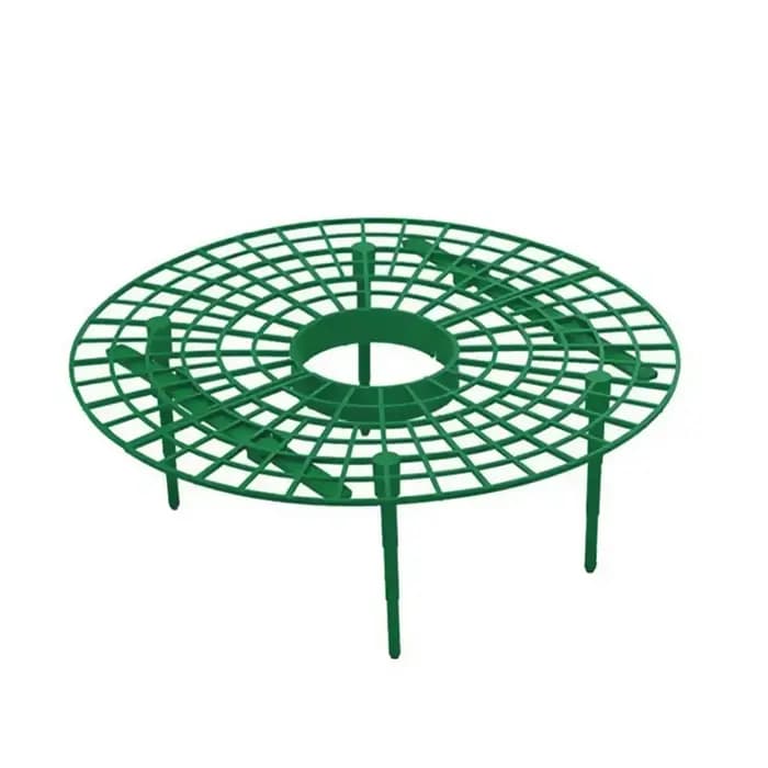 Supports de fraises pour conserver les plantes et les fruits