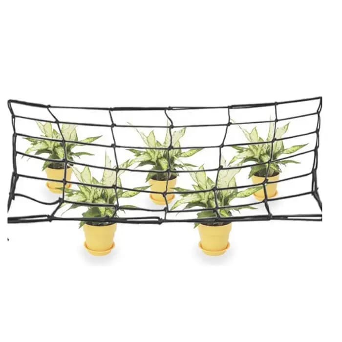 Tente de culture en Polyester élastique, filet en treillis extensible, Support de plantes avec 4 cro