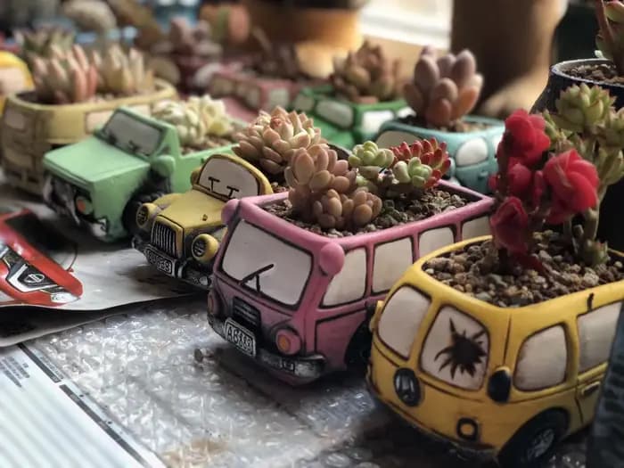 Pot de fleurs succulentes en forme de voiture de dessin animé