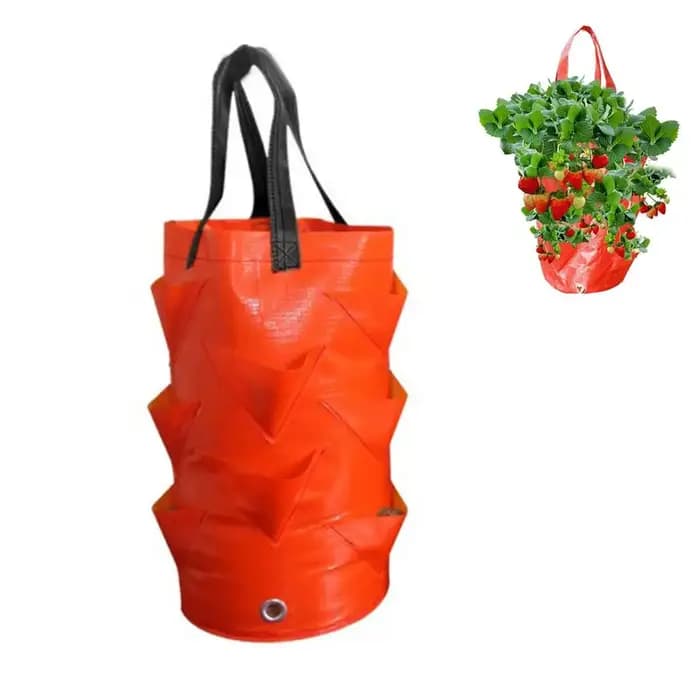 Sacs de culture suspendus pour fraises et tomates
