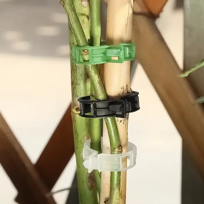 Clips de plantes réutilisables, 600-10x, supports de tige de vigne et de tomate, pinces de greffage,