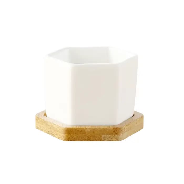 Pot de fleurs en céramique blanc hexagonal avec plateau, pot de fleurs européen, pot simple pour pla
