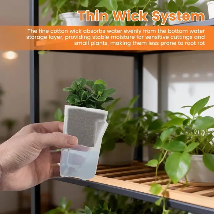 Lot de 12 pots auto-arrosants transparents en plastique double couche avec trous de drainage et corde en coton pour petites plantes de pépinière