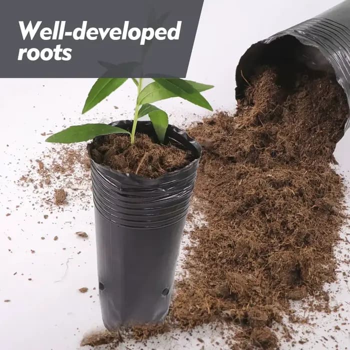 Grands pots ronds pour plantes de jardin, jardinière de culture avec trous de proximité, plastique,