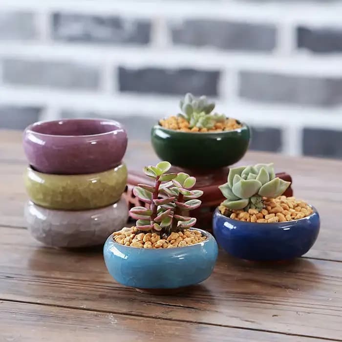 Jardinière succulente en céramique de fleur de glaçure de craquel de glace mignonne Mini Pot de plante Pot