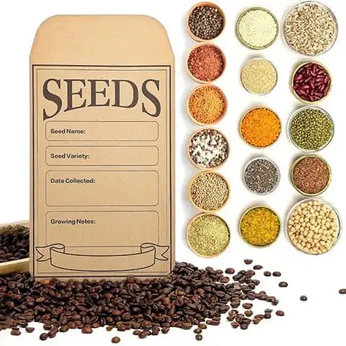 1 ensemble de classeurs de rangement pour graines de jardin