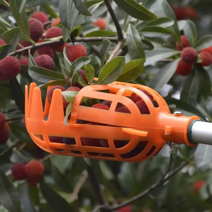 1 pièce Outil de cueillette de fruits en hauteur