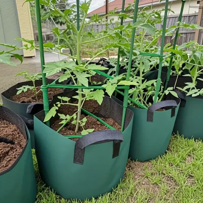Sacs de culture en feutre vert 3/5/7 gallons pour plantes, pots de plantation à aération forte pour le jardinage, maintien de l'humidité