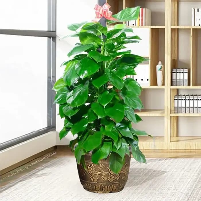 Pot de fleurs en résine en forme de lotus, grande capacité de 7,5 L, réservoir d'eau, hauteur de 19 cm, couleur cuivre bronze, style rétro, pour usage intérieur.