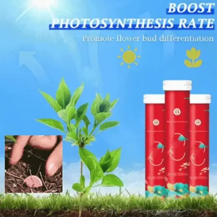 Tablette universelle à libération lente pour jardinage domestique