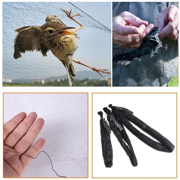 Filet en nylon anti-oiseaux pour vergers et aéroports, piège à oiseaux, cultures, arbres fruitiers,