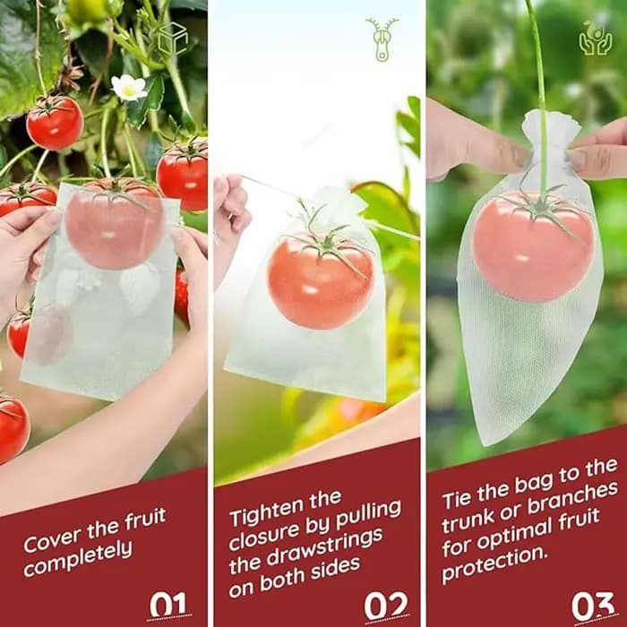 Sacs de Protection pour raisins et fruits, 50 à 500 pièces, sacs de culture d'arbre, filet en maille