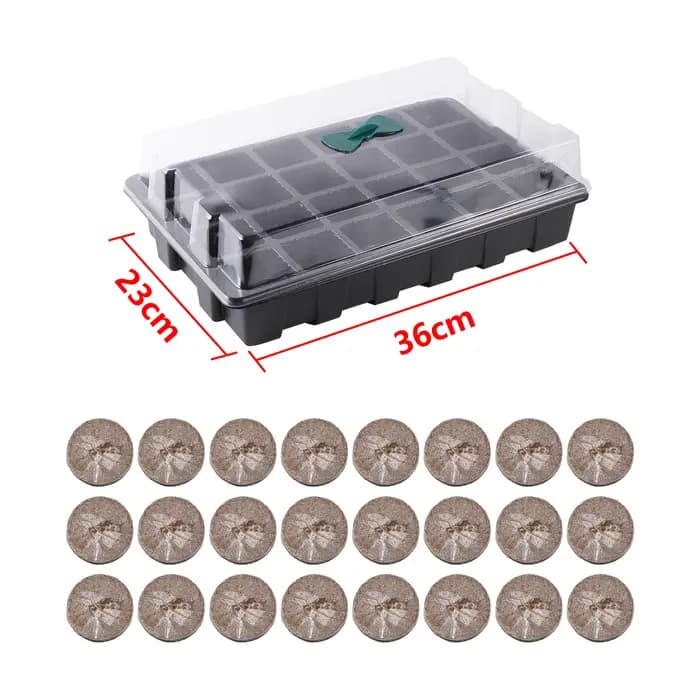 Escalade de semis 24 trous pour la germination de l'herbe de blé
