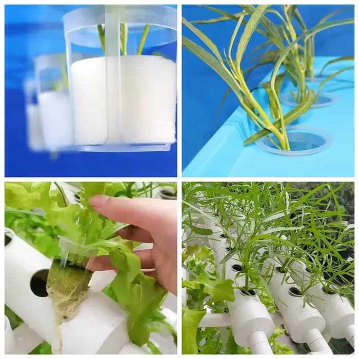 50 pièces plante pépinière maille tasse Pots support hydroponique sol cultiver Pot éponge Net coloni