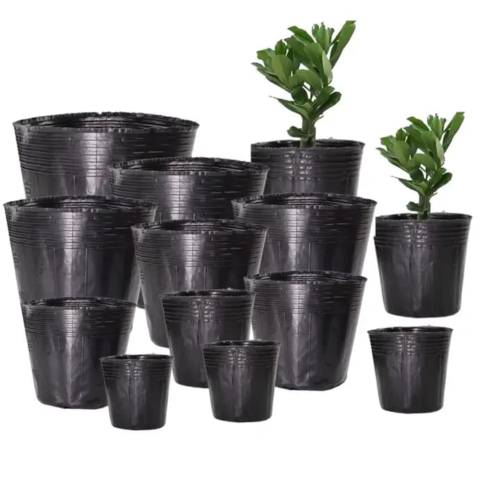Pot de fleur jetable en plastique, 5 à 100 pièces, 16 tailles, bol de Nutrition, tasse de semis, boî