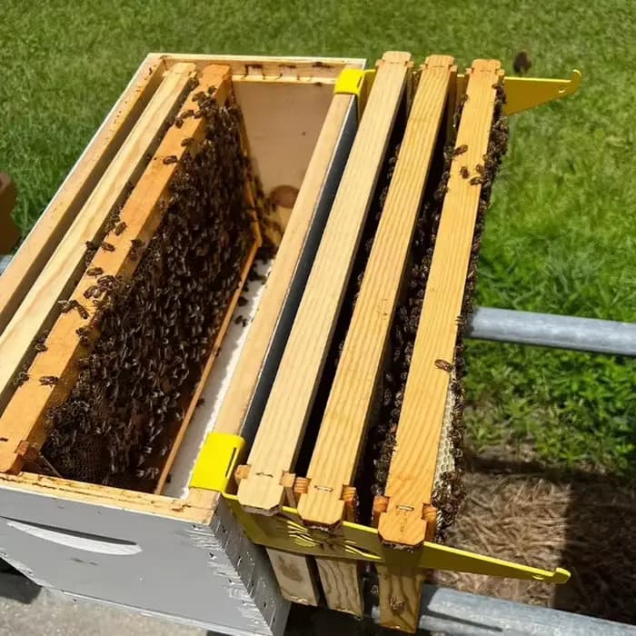 Kit de Cadres de Ruche en Métal Facile à Utiliser pour la Collecte de Miel - Outils et Fournitures Essentiels