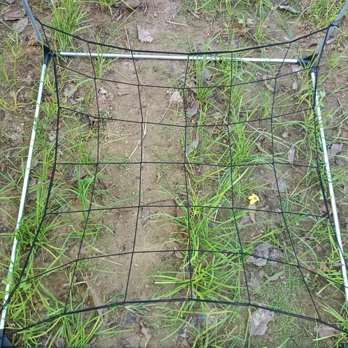 Filet de pressage de branche de tente de plante