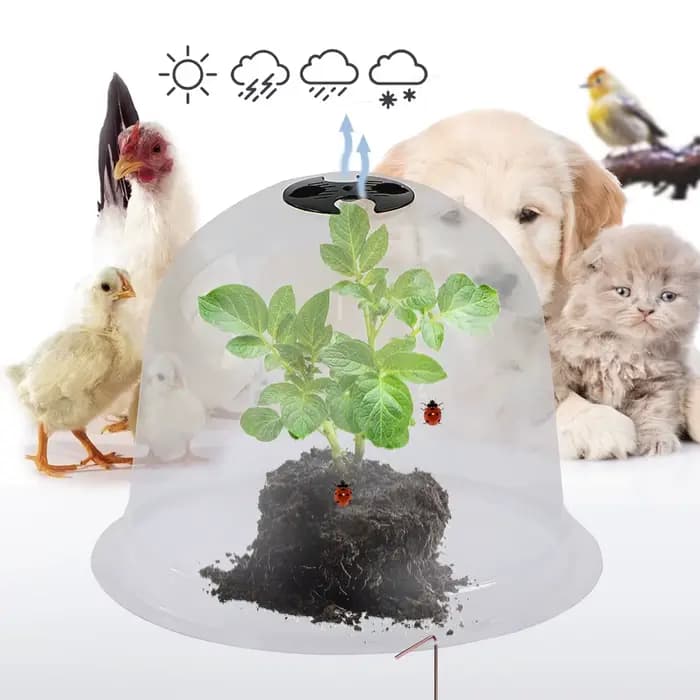 Couverture de protection des plantes réutilisable avec piquets métalliques, mini serre, couverture d
