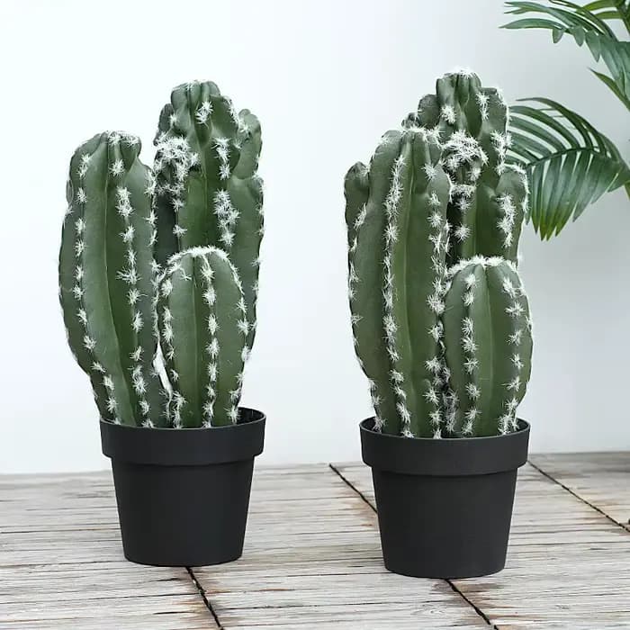 Plante succulente verte tropicale artificielle