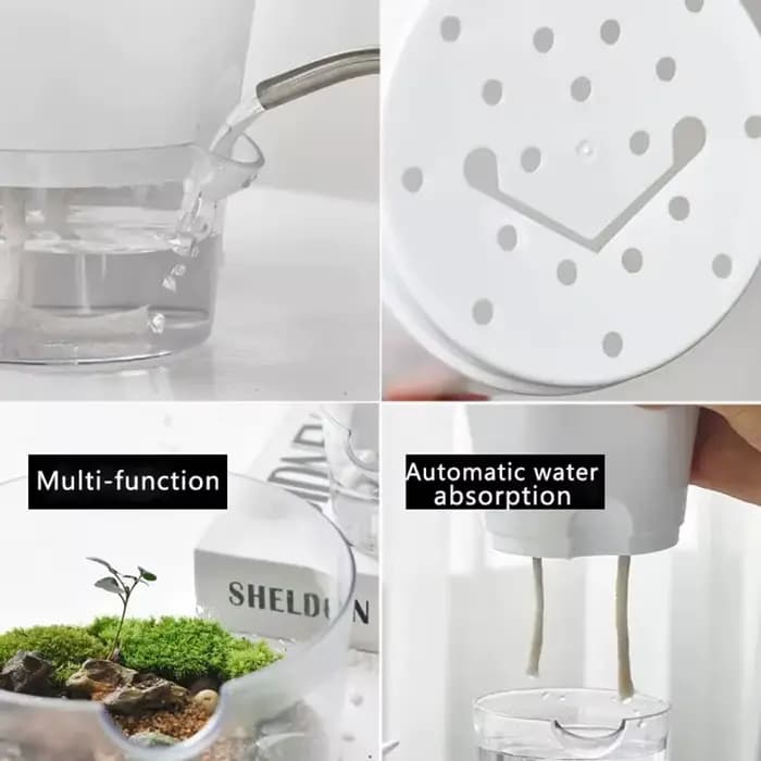 Mini pot de fleur hydroponique pour la décoration de la maison