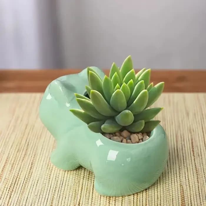 Mini pot de fleurs en céramique avec trou de drainage