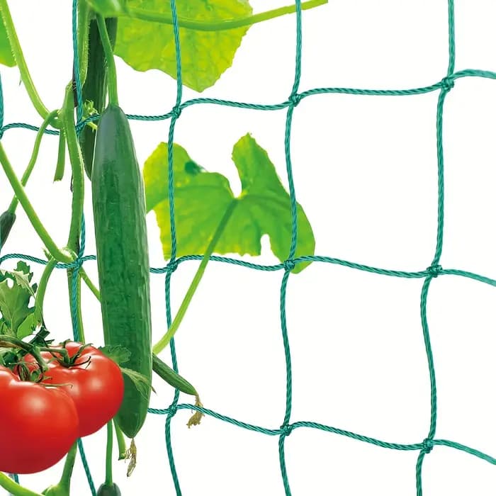 Filet de jardin renforcé pour la croissance des plantes grimpantes, idéal pour les concombres, les fleurs de gloire du matin et les plantes lianes.