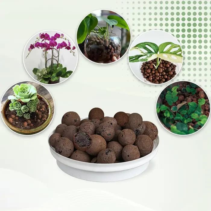 Boules d'argile organique 2L/1L, argile élargie de Drainage de substrat de fleur, pot de plante de j