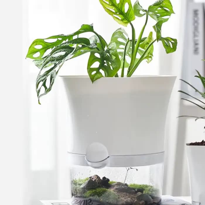 Mini pot de fleur hydroponique pour la décoration de la maison