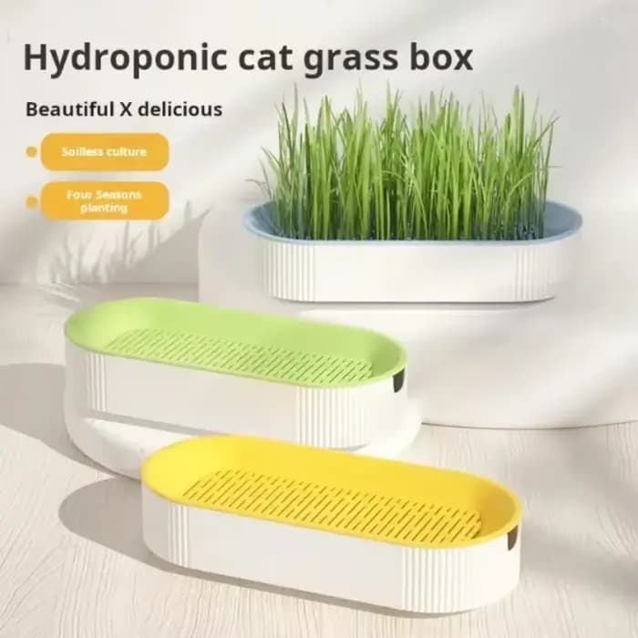 Pot de culture hydroponique sans terre pour herbe à chat