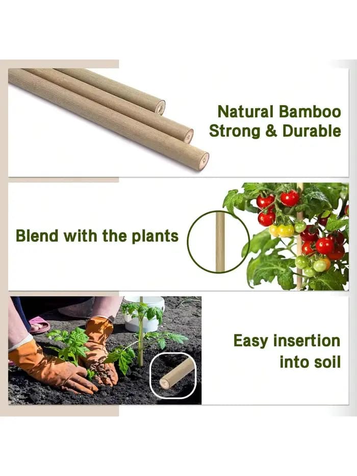 Piquets en bois de jardin en bambou, 20 pièces, plantes en bambou écologiques, piquets en bois, plan