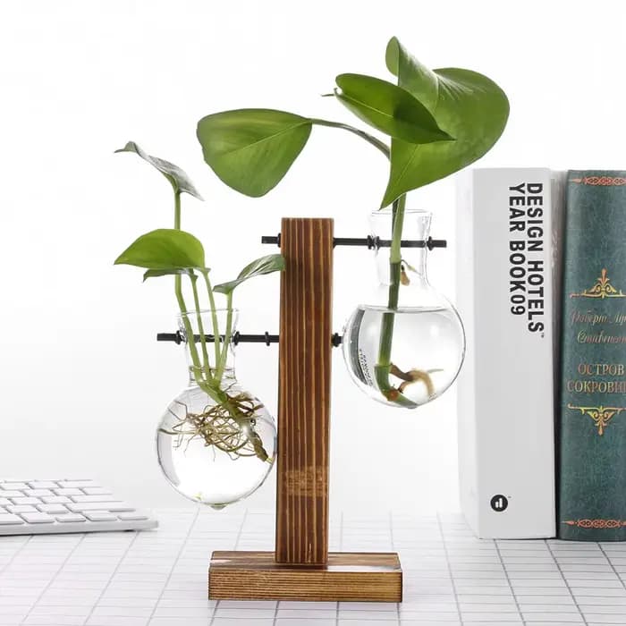 Jardinière de bonsaï de décoration
