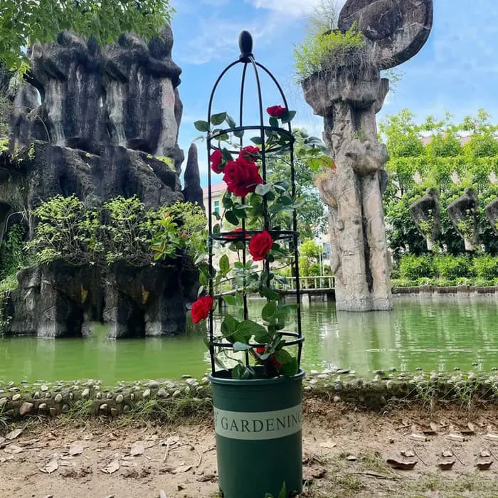 Obélisque de jardin en treillis pour plantes grimpantes